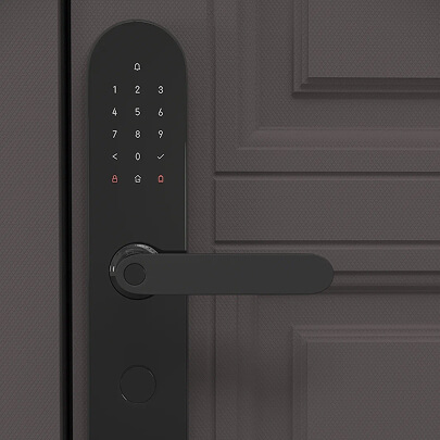 С электронными замками